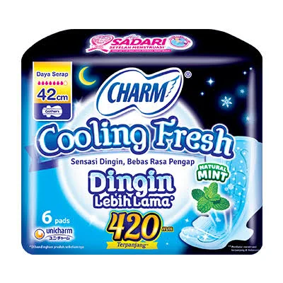 PEMBALUT CHARM COOLING 42CM G 10P