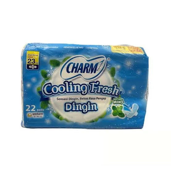PEMBALUT CHARM COOLING 23CM W 22P